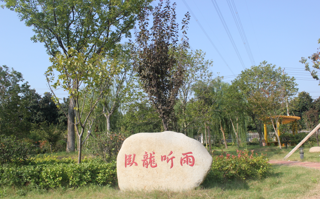 花園一角